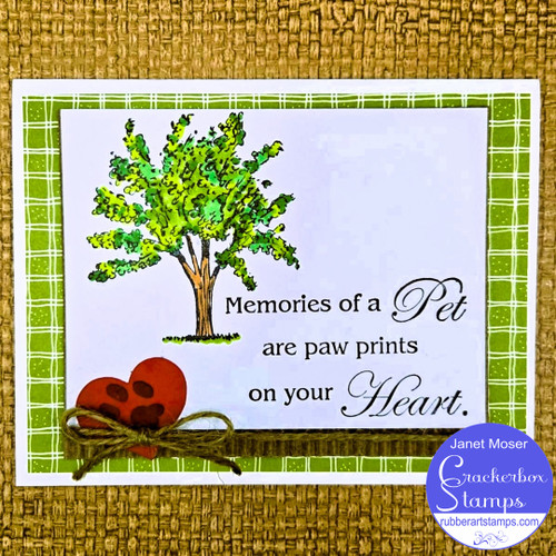 Sympathy For A Pet Card