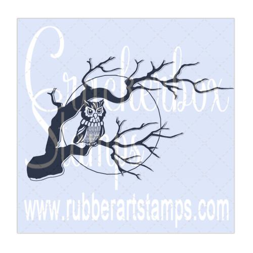 Owl in Tree Owl in Tree
