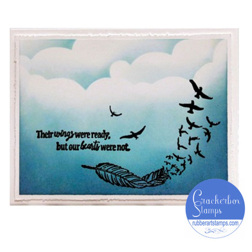 Feather & Birds Feather & Birds