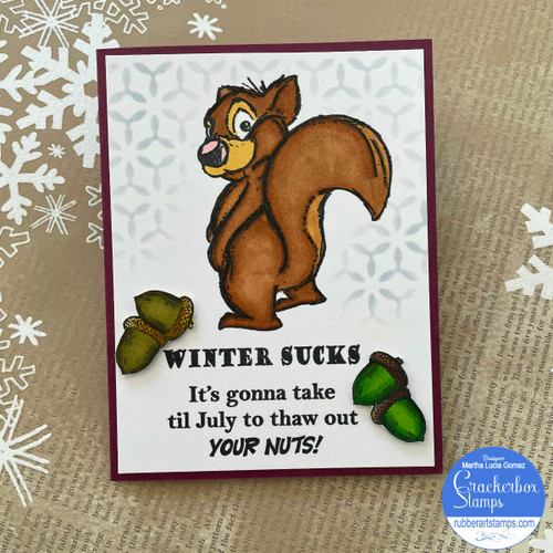 Chuck The Squirrel and Acorns