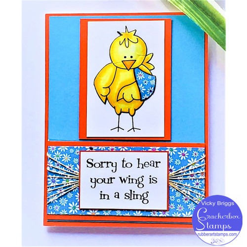 Wing in a Sling Bird