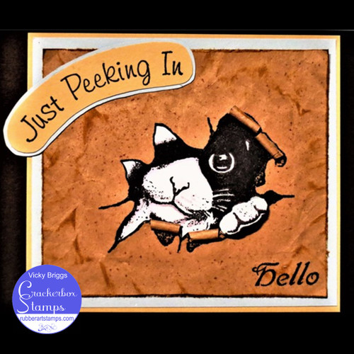 Peeking Cat Peeking Cat