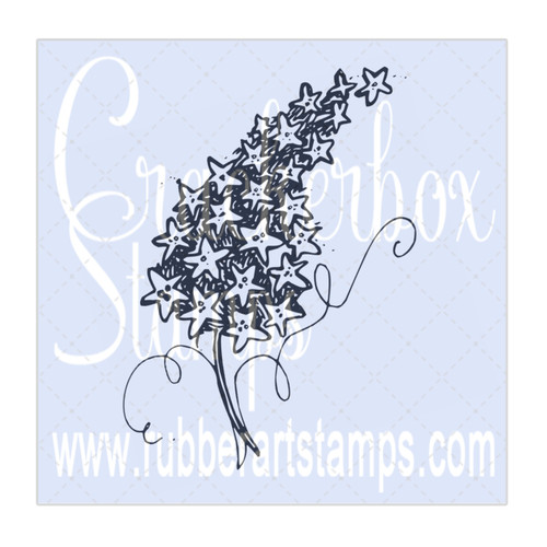Lilac Flower Lilac Flower