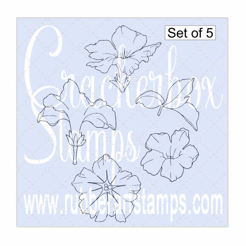 Morning Glory set of 5 Morning Glory set of 5