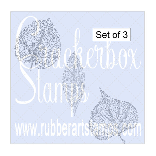 Skeleton Leaves Set of 3 Skeleton Leaves Set of 3