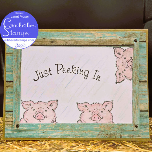 Pig Hanging On Pig Hanging On
