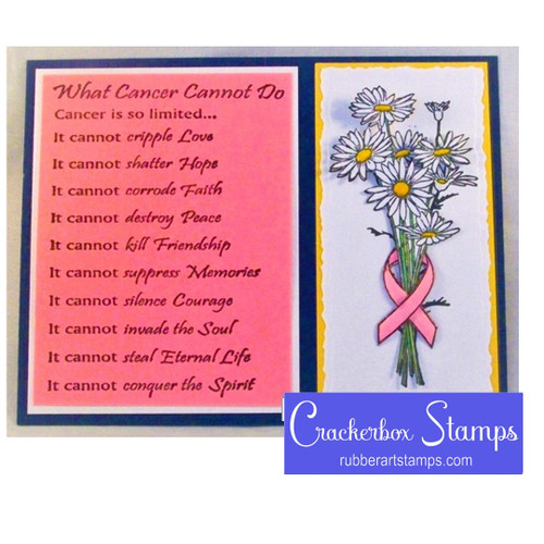 What Cancer Cannot Do and Ribbon Set of 2 What Cancer Cannot Do and Ribbon Set of 2