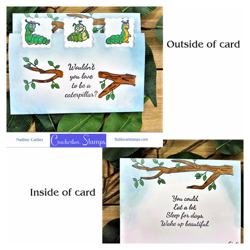 Caterpillar's Life Caterpillar's Life