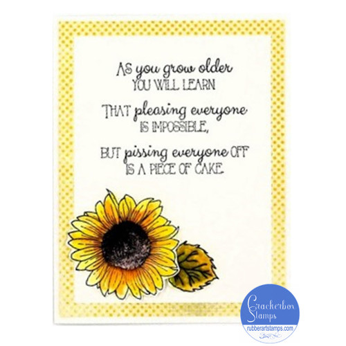 As You Get Older Pleasing Everyone