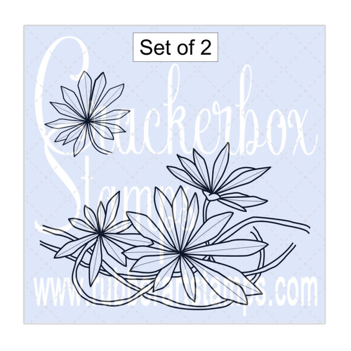 Lupin leaves Lg. And Sm.