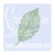 Skeleton Leaf Birch