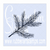 Pine Branch