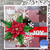 Poinsettia Lg.