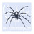 Spider with Long Legs