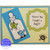 Bug Set of 3