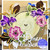 Morning Glory set of 5