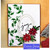 Poinsettia Sm.