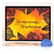 Your Wings Card