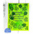 Friends Saying and 4 Leaf Clover set of 2
