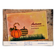 Pumpkin Harlequin