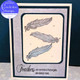 Feather Decorative
