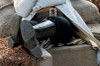 7 buckle engineers boots