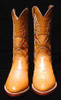 Cowboy Ostrich Boots Cowboy Ostrich Boots
