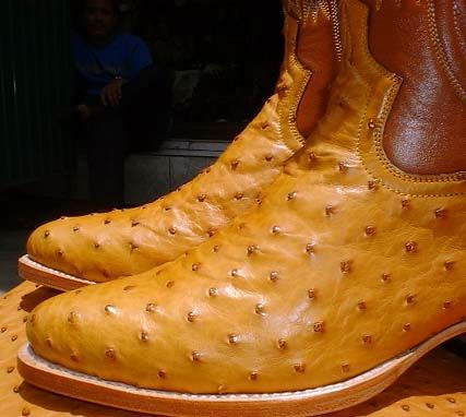 Ostrich Cowboy Boots - Motorcowboy display picture 3