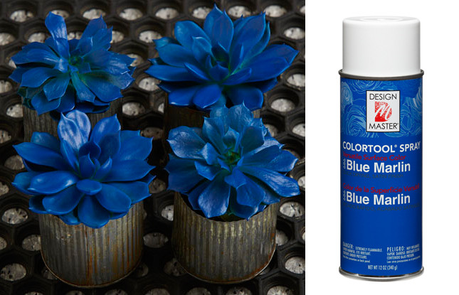 Spray Paint 12oz Blue Marlin