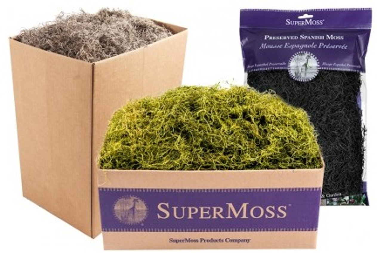 Spanish Moss Natural & Dry