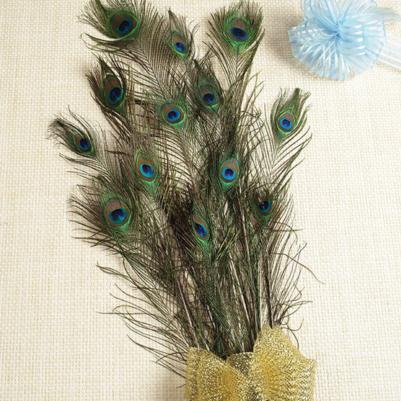 Peacock Feather - 1 1/2in Jacquard Ribbon, from Linework by Tula