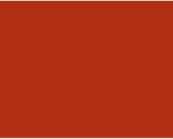 BAZ *  Poster Board 22"x28" Red