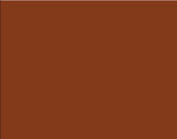 BAZ *  Poster Board 22"x28" Brown