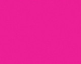 BAZ *  Poster Board 22"x28" Fl Pink