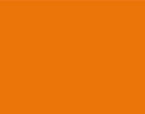 BAZ *  Poster Board 22"x28" Fl Orange