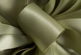 TMR *  DF Satin 3/50yd Spring Moss