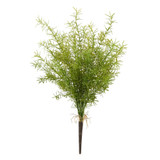 WIN *  Asparagus Fern Bush 20" Green