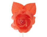 BBW * Satin Rose with Pip Red