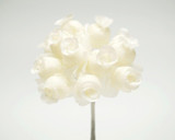 BBW * Rosebud 5/8" Ivory