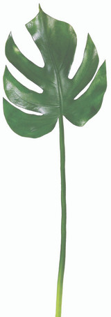 AS *  23" Split Philo Leaf Green