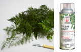 DM * Spray 12oz Foliage Sealer