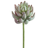 AS *  6.5" RT Senecio Pick
