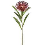 AS *  26" Open Needle Protea Spray