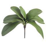 AS *  12" Phalaenopsis Leaf Plant