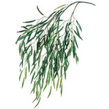 AS *  47" Weeping Willow Spray
