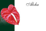 OBU*Enc Cd w/Aloha Anth Red