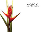 OBU*Enc Cd w/Aloha Helic Orange