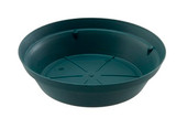 DL * 10" Saucer Hunter Green