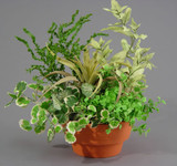 DL * 8" Planter Clay