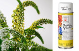 DM * Just For Flowers Lemon